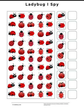 Ladybug I Spy
