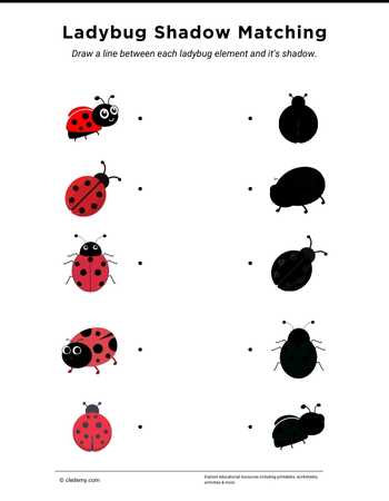 Ladybug Shadow Matching