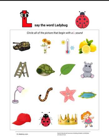 Circle the Picture- Ladybug