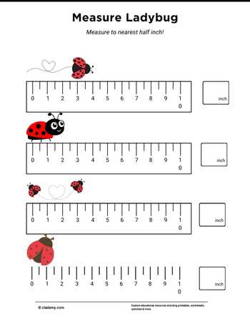 Measure It - Ladybug