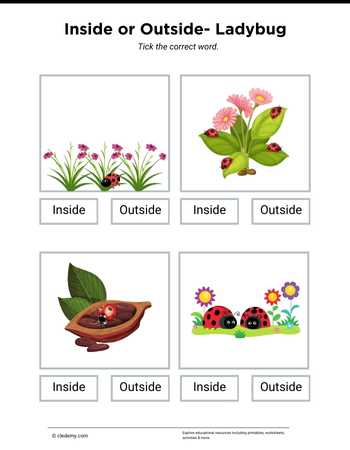 Inside or Outside- Ladybug