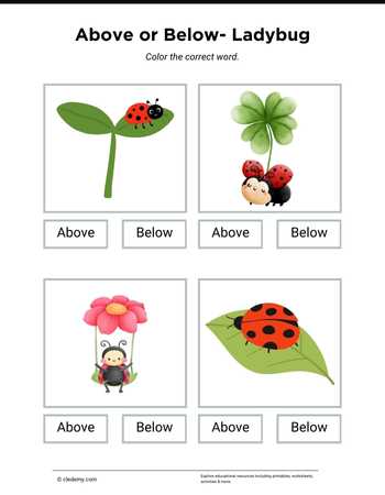 Above or Below- Ladybug