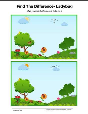 Find The Difference- Ladybug