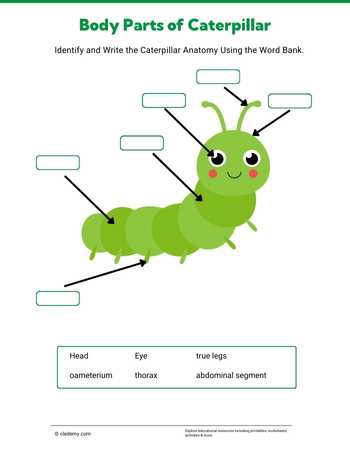 worksheet