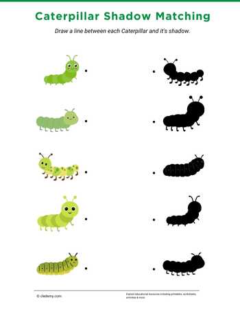 Caterpillar Shadow Matching
