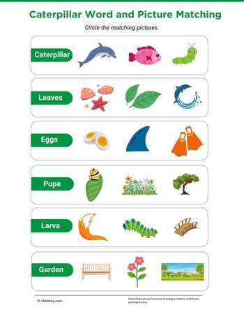 Caterpillar Word and Picture Matching