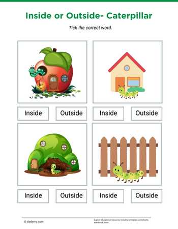 Inside or Outside- Caterpillar