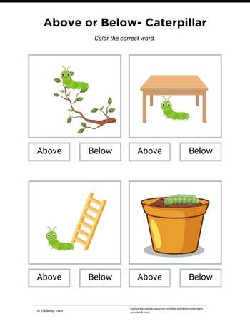 Above or Below- Caterpillar