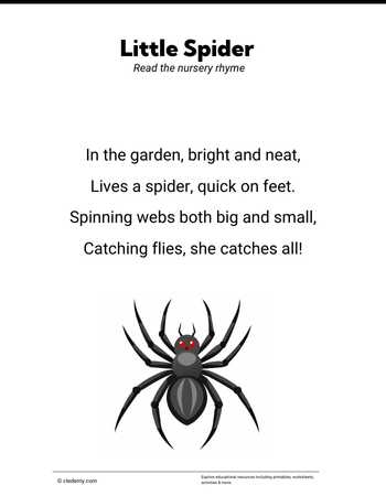 Rhyme on Spider