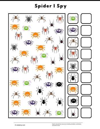 Spider I Spy