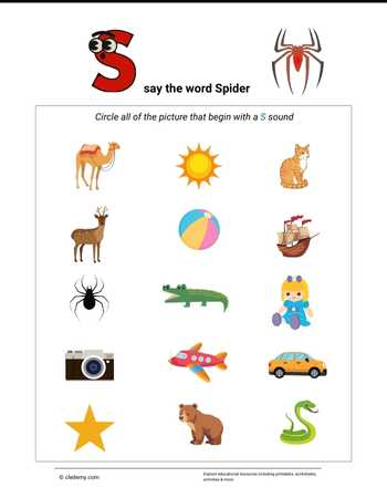 Circle the Picture- Spider