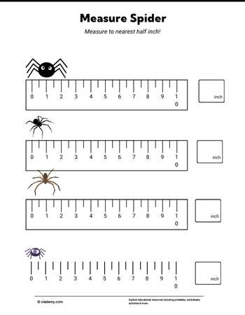 Measure It - Spider