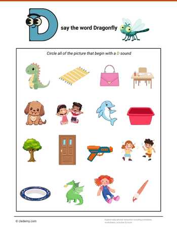 Circle the Picture-Dragonfly
