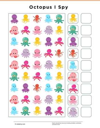 Octopus I Spy