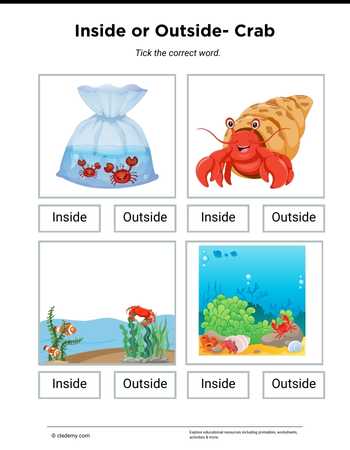 Inside or Outside- Crab
