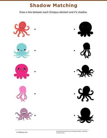 Octopus Shadow Matching