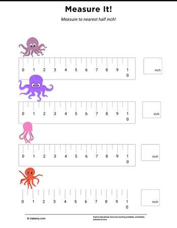 Measure It - Octopus