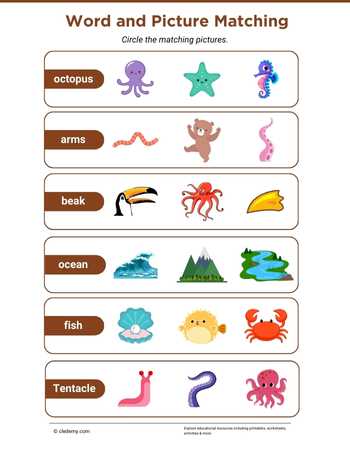 Octopus Word and Picture Matching