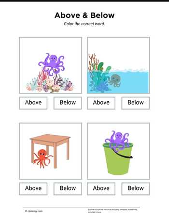 Above or Below- Octopus