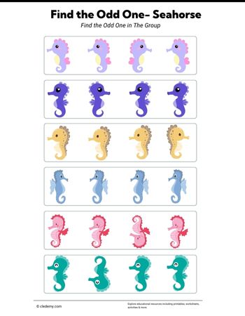 Find Odd One Out Seahorse