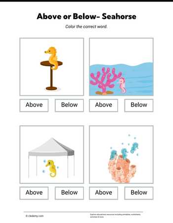 Above or Below- Seahorse