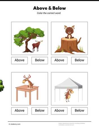 Above or Below- Moose