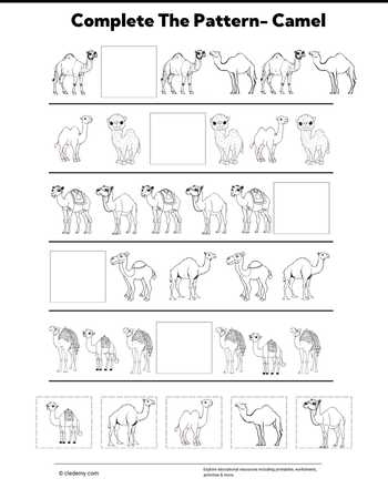 Complete The Pattern- Camel