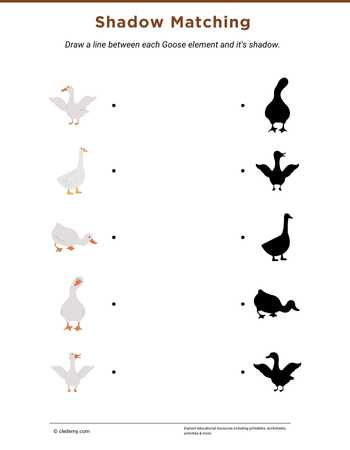 Goose Shadow Matching