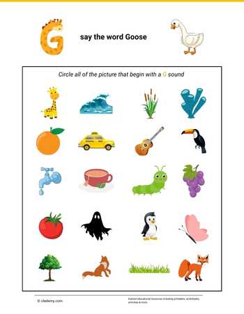 Circle the Picture- Goose