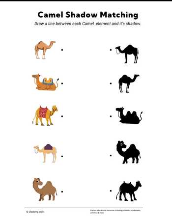 Camel Shadow Matching