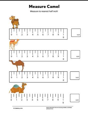 Measure It - Camel