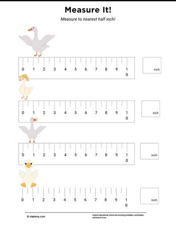 Measure It - Goose