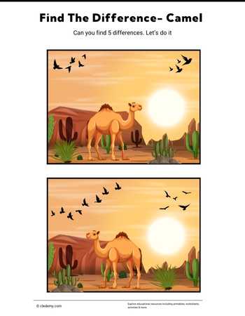 Find the Difference- Camel