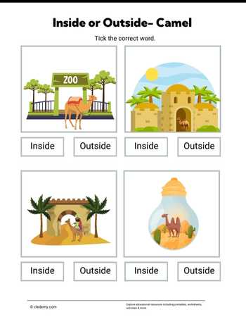 Inside or Outside- Camel