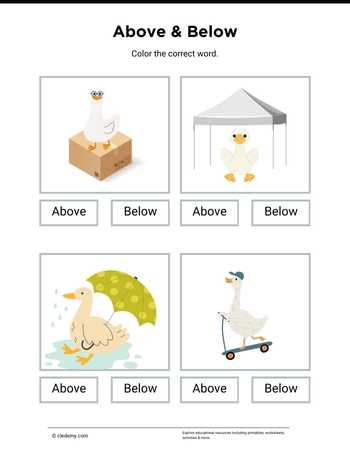 Above or Below- Goose