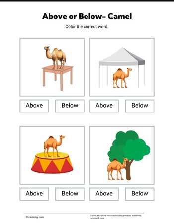 Above or Below- Camel