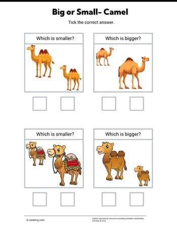 Big or Small- Camel