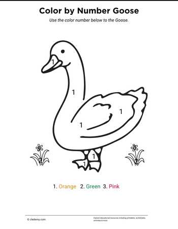 Color by Number Goose