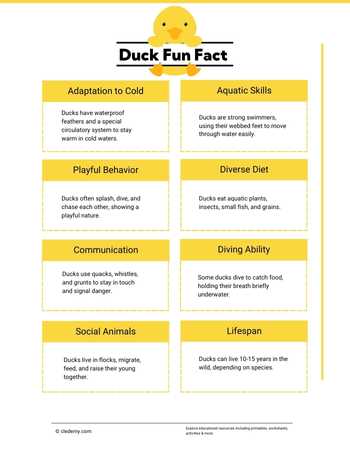 Facts About Duck