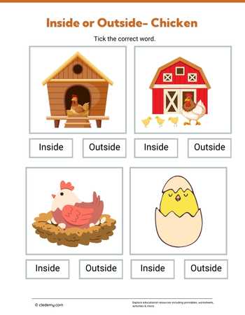 Inside or Outside- Chicken