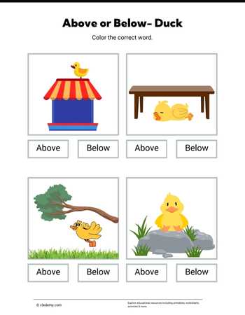 Above or Below- Duck