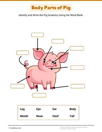 worksheet