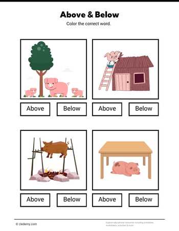 Above or Below- Pig