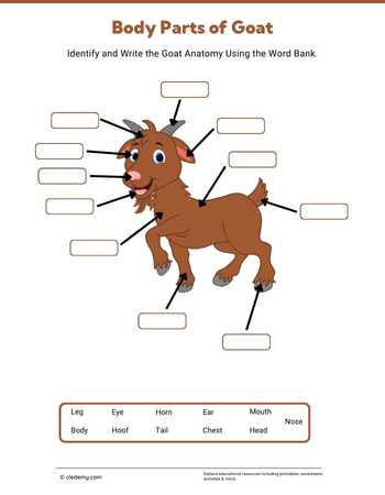 Body Parts of Goat