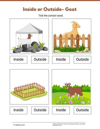 Inside or Outside- Goat