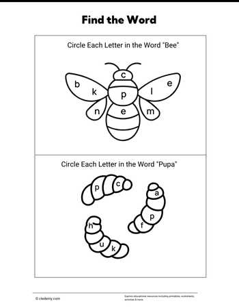 worksheet
