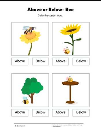 Above or Below- Bee