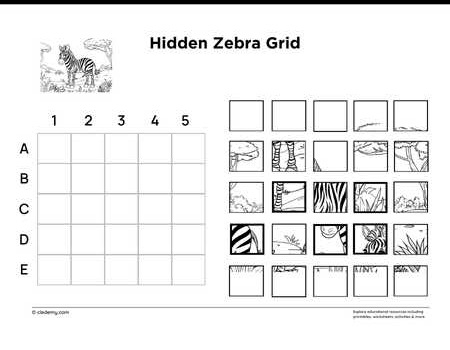 Hidden Zebra Grid