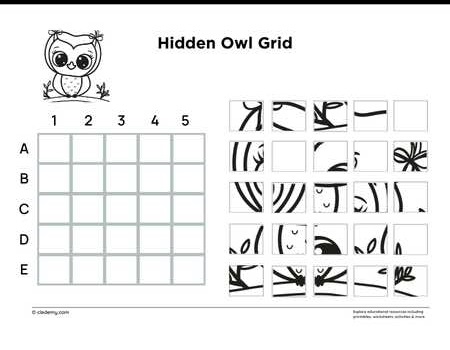 Hidden Owl Grid