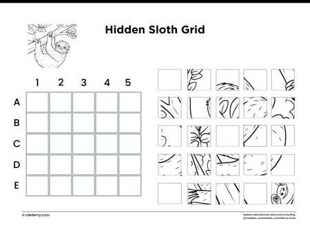 Hidden Sloth Grid